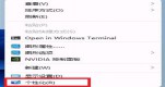 win11ôO(sh)(dng)B(ti)ڼwin11(dng)B(ti)ڼ?jin)O(sh)÷Ԕ