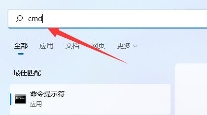 win11νԎIPwin11ԎIP̳