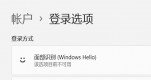 win11沿ReoOýQwin11沿ReOʧQ