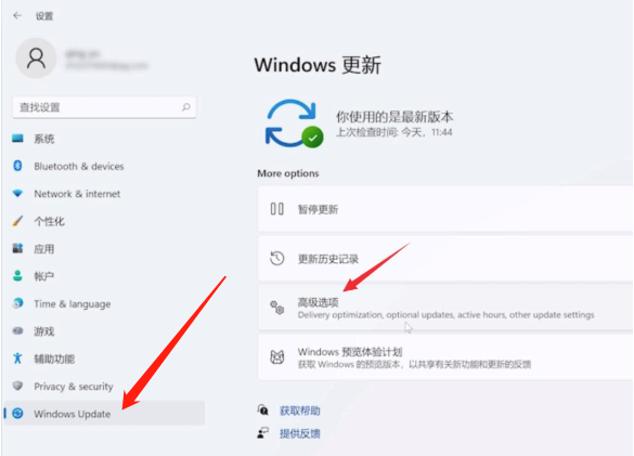 win11ϵy(tng)ô֏(f)SO(sh)win11X֏(f)SO(sh)ò̳