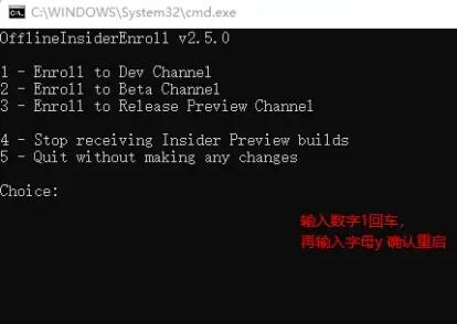 X؎̖ʹWindows 11 Insiderķ