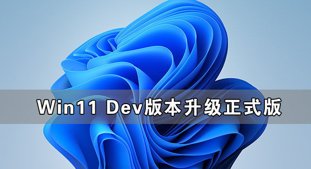 Win11Dev汾(j)ʽ