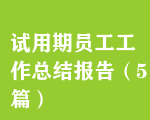 ԇچTY(ji)棨5ƪ