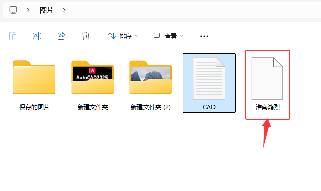 CoreIDRAW2024ęnΌCPTʽļ