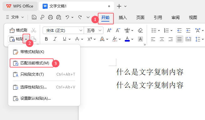 WPS Office\ճNƥ䮔(dng)ǰʽճN(ni)