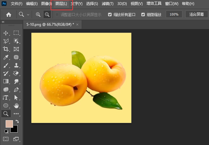 photoshop2024½Dôʹ